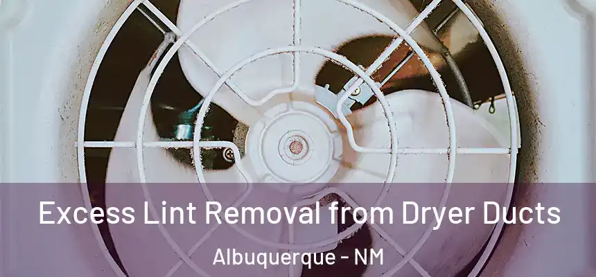  Excess Lint Removal from Dryer Ducts Albuquerque - NM