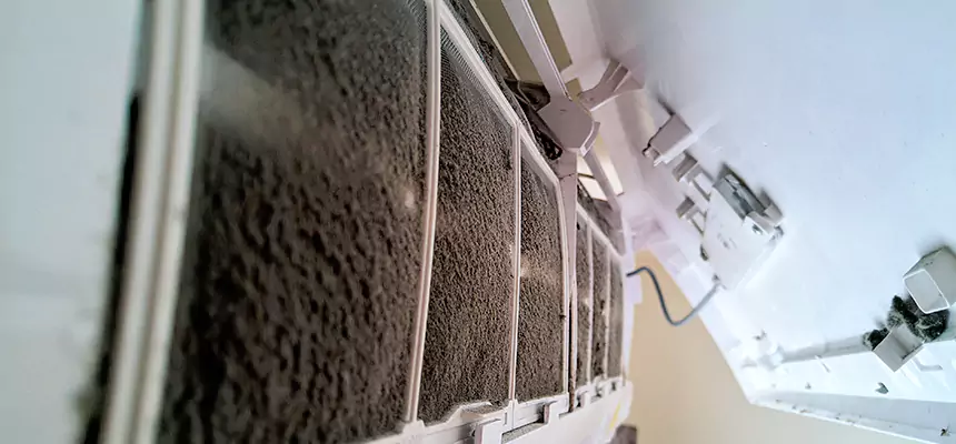 Preventive Air Duct Bacteria Removal in Albuquerque