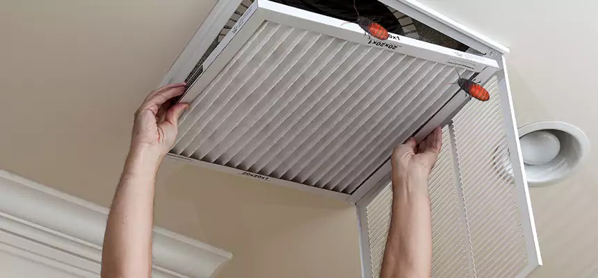 Preventive Cockroach-Proofing for Ducts in Albuquerque