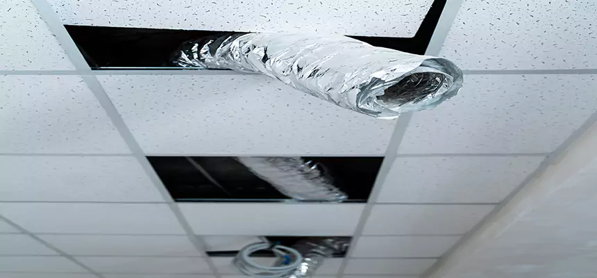 Affordable HVAC Sanitizing After Pest Removal in Albuquerque