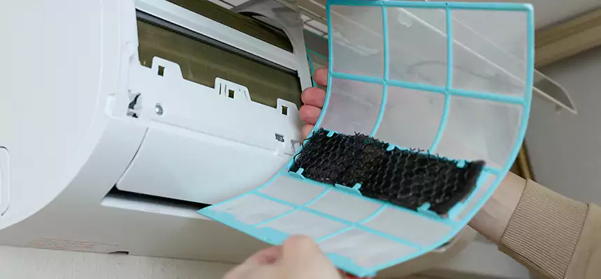 Gentle Ductwork Odor-Control Pet Dander Duct Cleaning in Albuquerque, NM