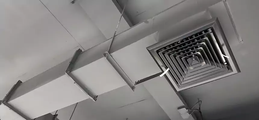 Our Rodent Droppings In Vents Services in Albuquerque, NM