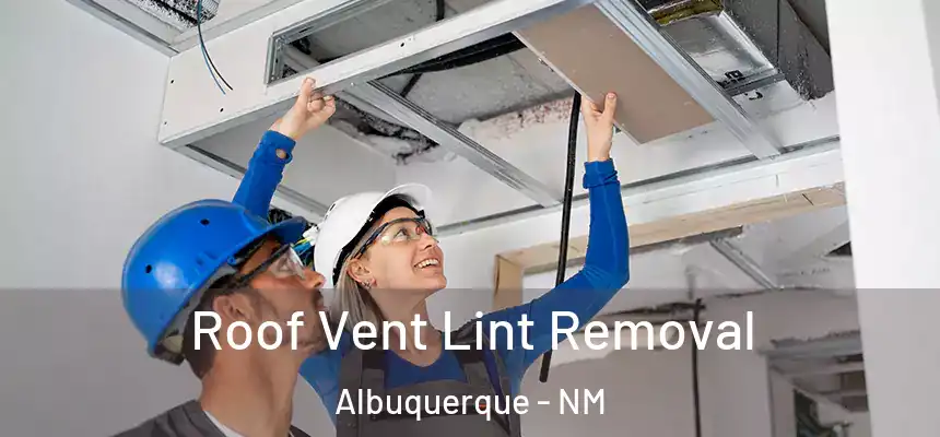 Roof Vent Lint Removal Albuquerque - NM