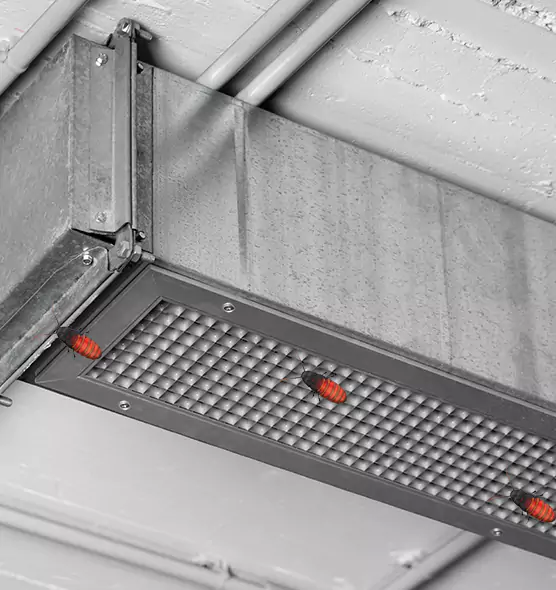 About Air Duct Cockroach Removal in Albuquerque, NM