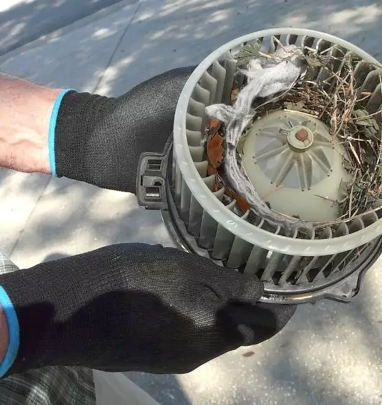 About Air Duct Rat Removal in Albuquerque, NM