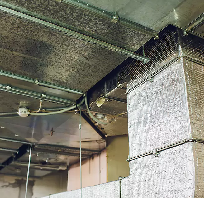 Why Homeowners & Businesses Trust Us in Albuquerque, NM?